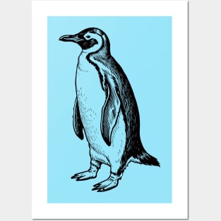 Simple Penguin Posters and Art